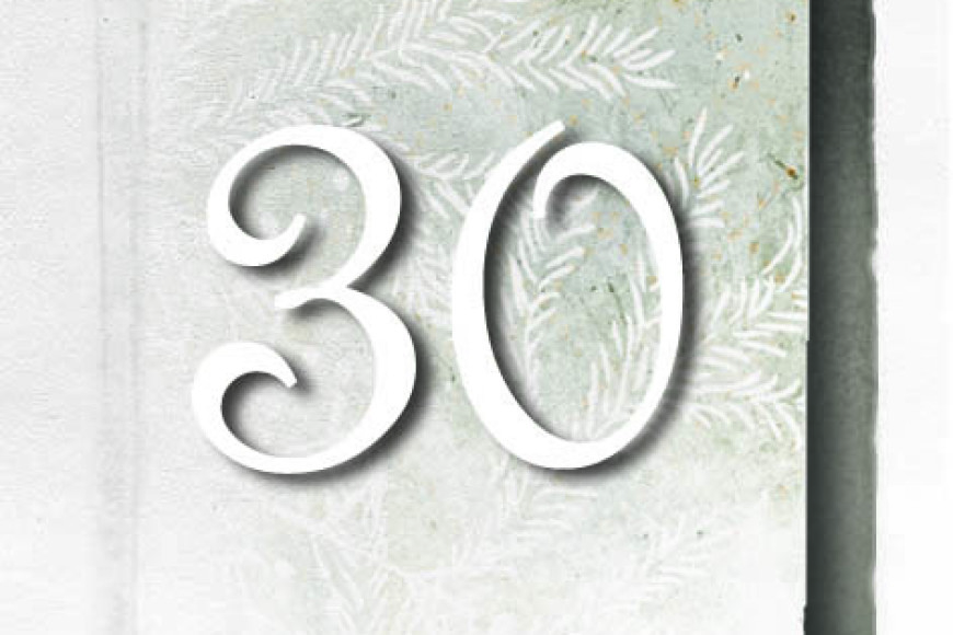 Magnolia Advent Calendar shutter no 30